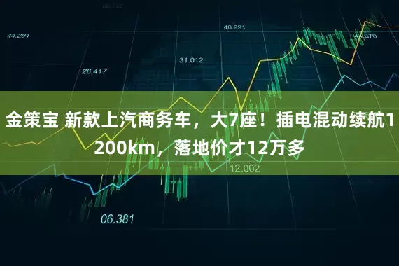 金策宝 新款上汽商务车,大7座!插电混动续航1200km,落地价才12万多