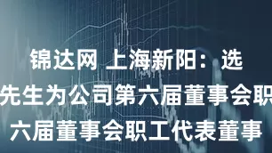 锦达网 上海新阳：选举俞立成先生为公司第六届董事会职工代表董事