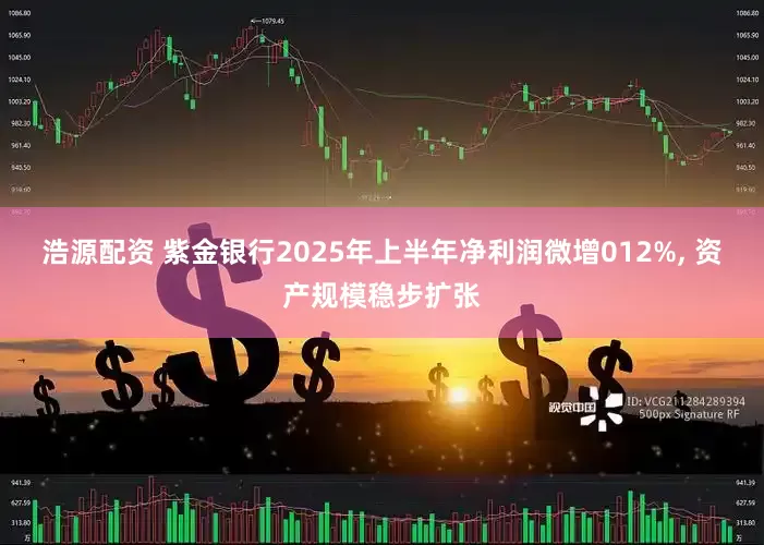 浩源配资 紫金银行2025年上半年净利润微增012%, 资产规模稳步扩张
